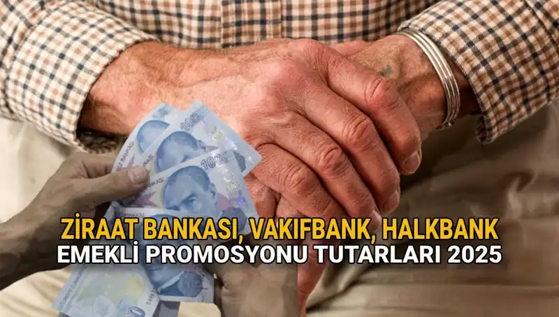 2025'te Emekliler için Kamu Bankalarından Yüksek Promosyon Fırsatları