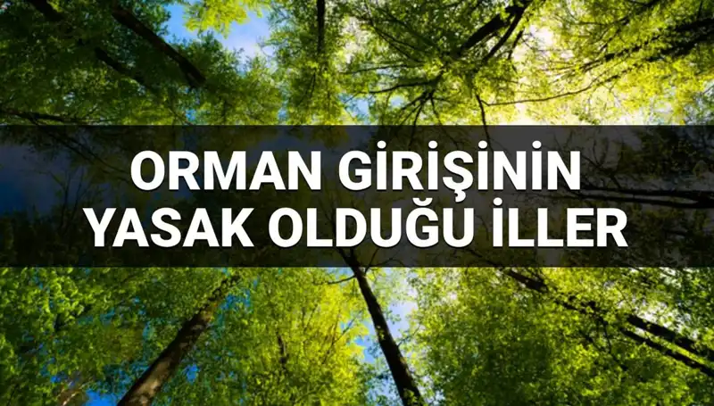 Hangi İllerde Ormana Girmek Yasak? 2025 Yılı Listesi Açıklandı!