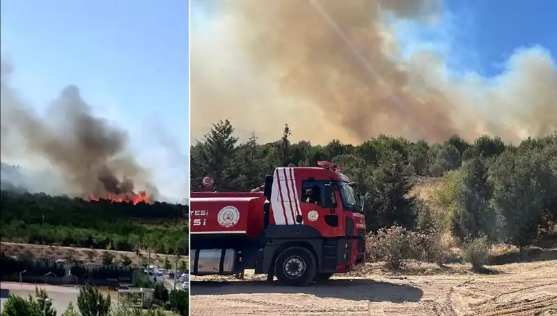 Gebze'de Orman Yangını: Doğaya Düşen Kara Lekeler ve Mücadele Süreci
