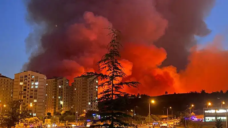 Bursa'da Yangınlar Sırlarıyla Şehri Sarıyor: Nedenleri ve Sonuçları