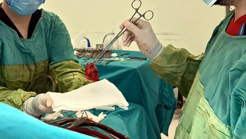 Kalp Ameliyatında Şaşırtan Başarı: 7 Saatlik Mücadele ve Mucizevi Sonuç