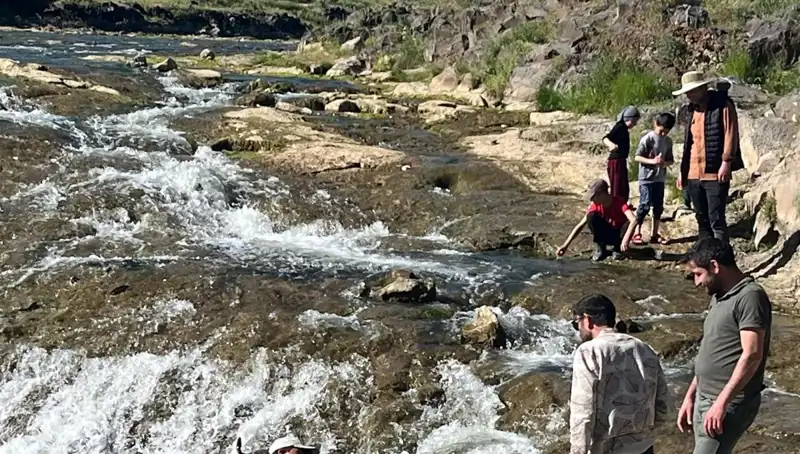 İnci Kefalinin Muhteşem Göçü: Doğanın Harikası Binlerce Turisti Ağırlıyor