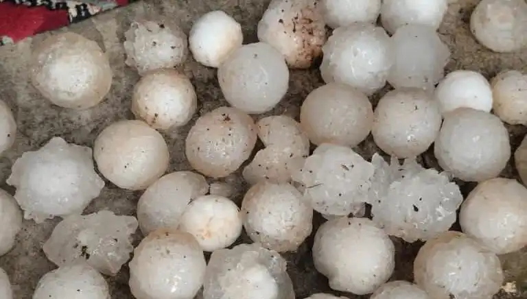 Şanlıurfa’da Kar Topu Büyüklüğünde Dolu Yağışı Neden Oldu Büyük Hasara