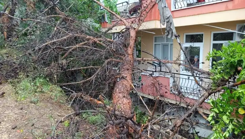 Ani Yağışlar Sonrası Bina Çöktü: Olay Anında Neler Oldu?