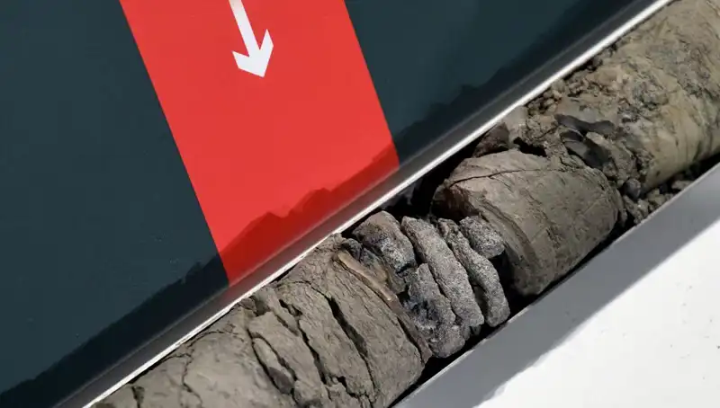 Müze Otoparkında Şaşırtan Dinozor Fosili Keşfi: Geçmişin İzleri Gün Yüzüne Çıktı!
