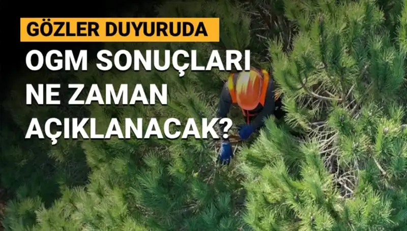 OGM Personel Alımı Sonuçları Ne Zaman Açıklanacak? İşte Tüm Detaylar