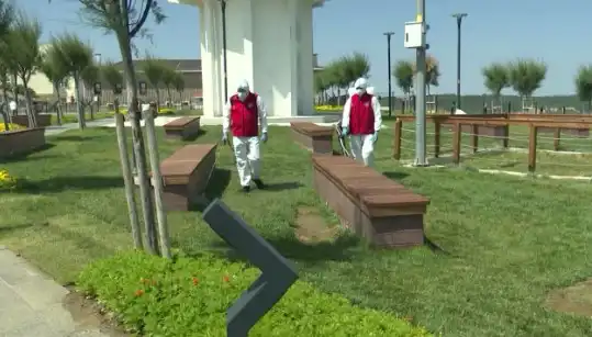 Kene Görülme Sıklığı Arttı: Halka Açık Alanlarda İlaçlama Önlemleri Alınıyor