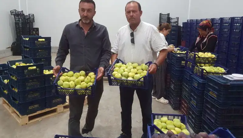 Mersinli Çiftçilerin Yüzünü Güldüren İhracat Fırsatı